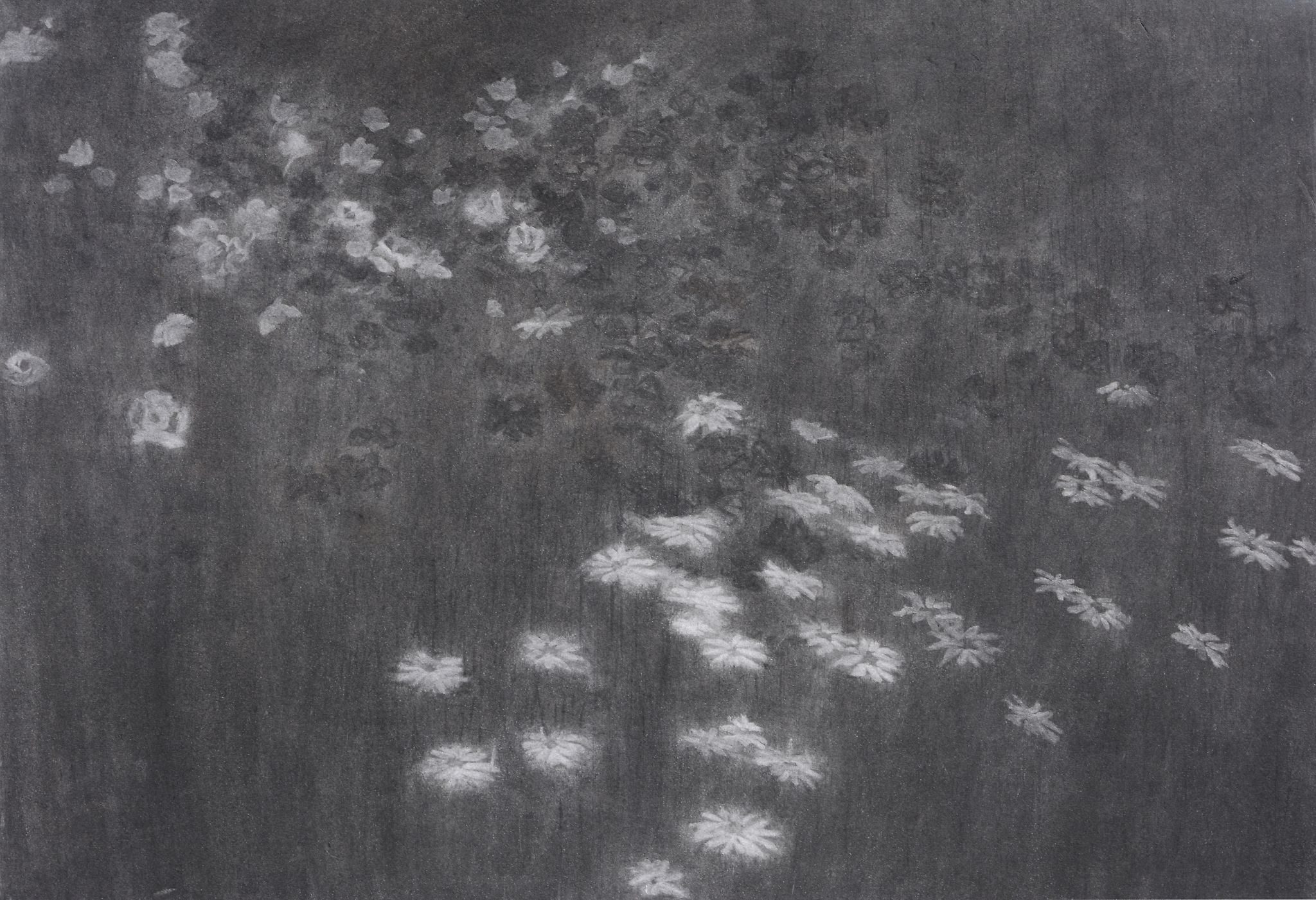 Edward Middleditch (1923-1987) - Garden Night; Plum Tree and Bean Field Charcoal on paper  Circa - Image 2 of 6