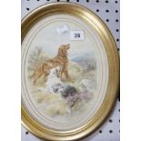 Basil Bradley RWS (1842-1904) Red setter and a collie Watercolour Signed lower left Oval, 24.5cm x
