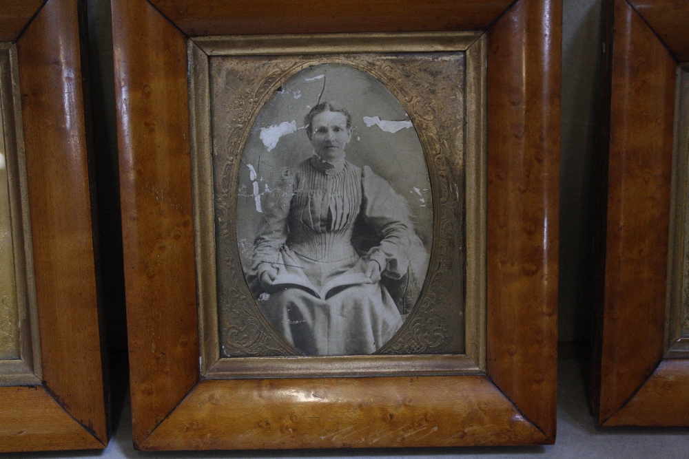 Four Victorian photographs on glass, in walnut frames -4 - Image 2 of 2