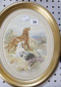 Basil Bradley RWS (1842-1904) Red setter and a collie Watercolour Signed lower left Oval, 24.5cm x