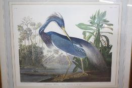 After John James Audubon (American, 1785-1851) 'Louisiana Heron' and a 'Roseate Spoonbill' Colour