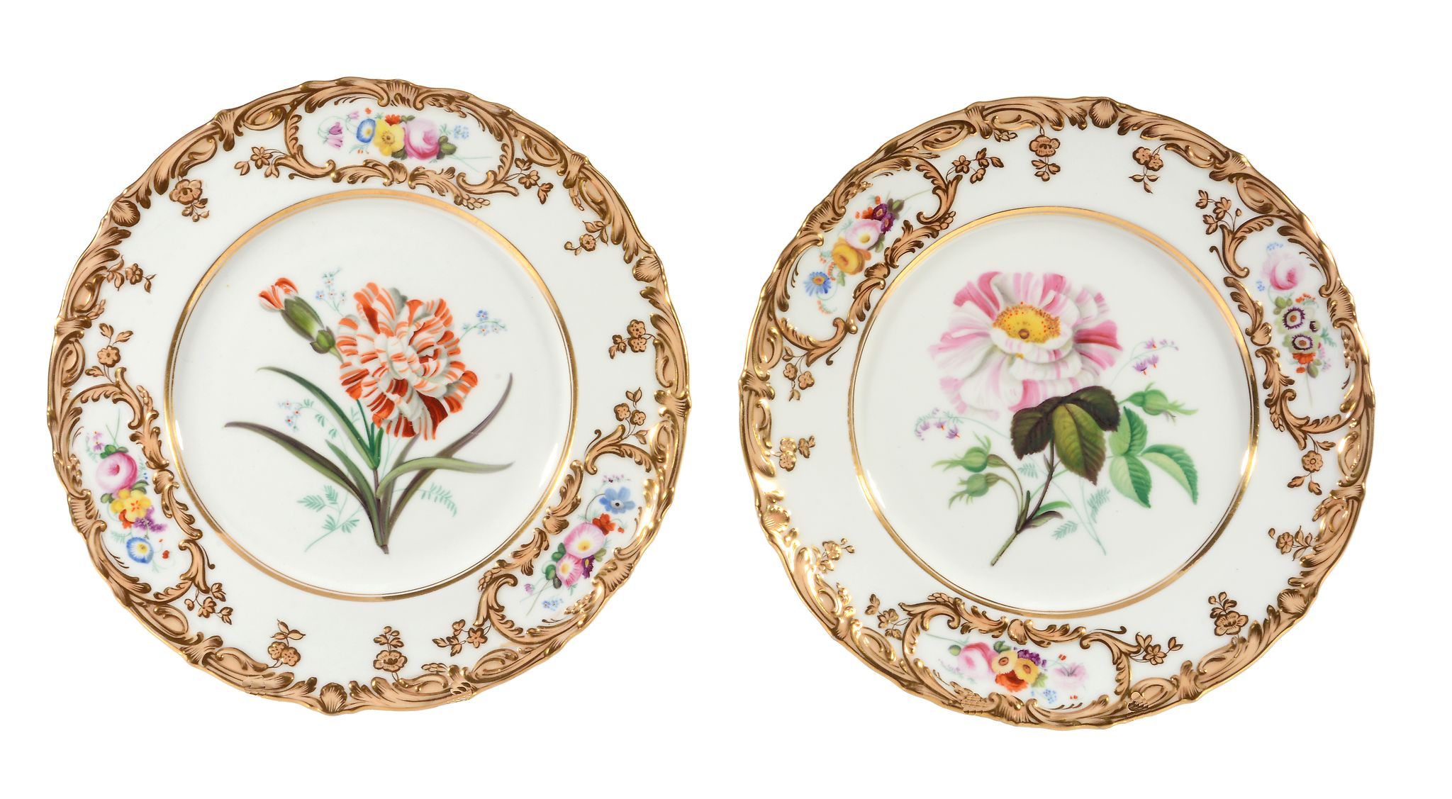 A pair of Coalport porcelain botanical plates, mid 19th century  A pair of Coalport porcelain