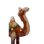 -1 A Chinese sancai pottery model of a Bactrian camel, Tang Dynsaty -1 A Chinese sancai pottery