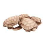 Tomochika: An Ivory Netsuke carved as four turtles gathered around and on... Tomochika: An Ivory