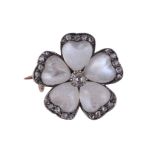 A late 19th Century moonstone and diamond flower head brooch,   circa 1890,  the moonstone petals