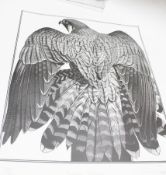 Colin See-Paynton (20th Century) 'Peregrine Mantle' Wood cut Signed in pencil no 35/100 Unframed