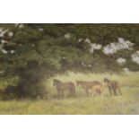 Enrique Castro (b.1938) 'The Oak'  Horses standing under an oak tree Oil on canvas Signed lower