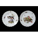 A pair of large Meissen chargers,   circa 1745, one painted with a spotted woodpecker and scattered