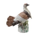 A Meissen model of a bustard ( Kragentrappe)  ,   the porcelain circa 1735, the decoration perhaps