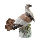 A Meissen model of a bustard ( Kragentrappe)  ,   the porcelain circa 1735, the decoration perhaps
