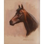 Barrie Linklater (late 20th Century) Shirley Heights, Epsom Derby winner 1978 Oil on canvasboard