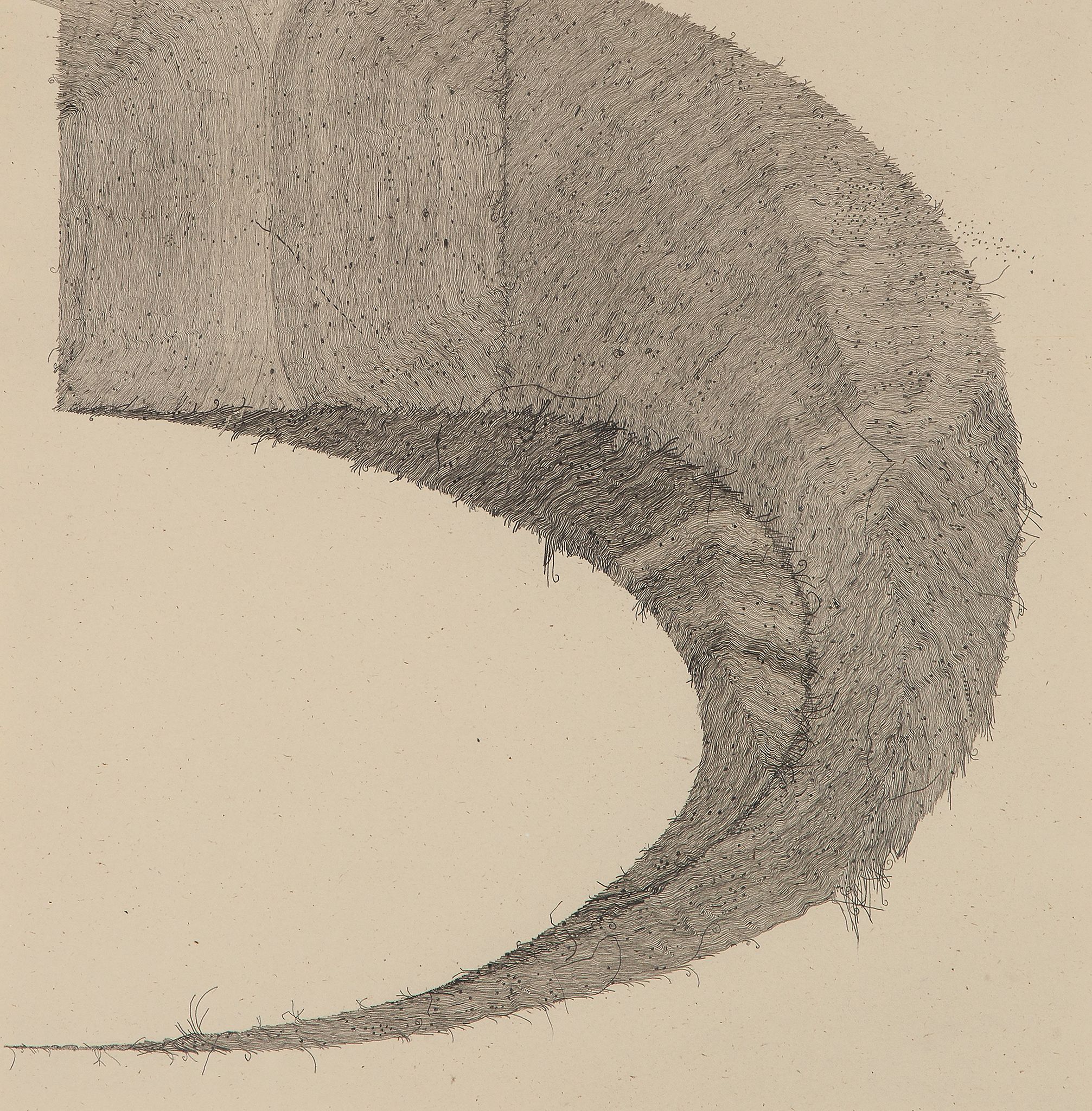 Peter Peri (b.1971) - Hairless Mexican pencil on paper, executed in 2003, 32 x 32 cm (12 1/2 x 12