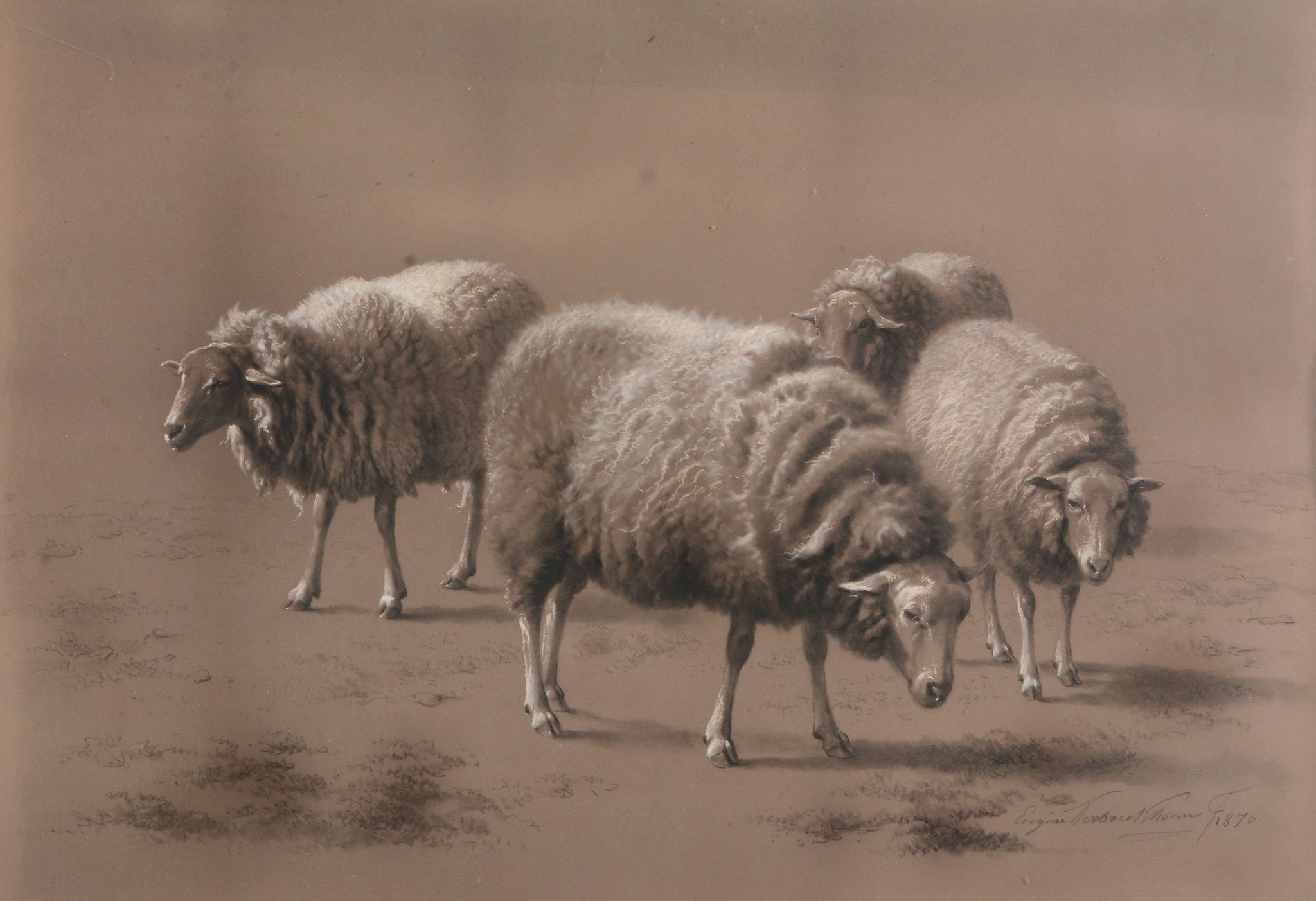 Eugène Verboeckhoven (1799-1881) - Four sheep grazing Charcoal and white chalk on paper Signed and