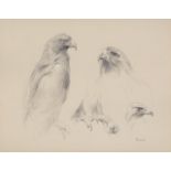 John C. Edwards (20th Century) Study of an eagle Graphite, heightened with white, on light grey