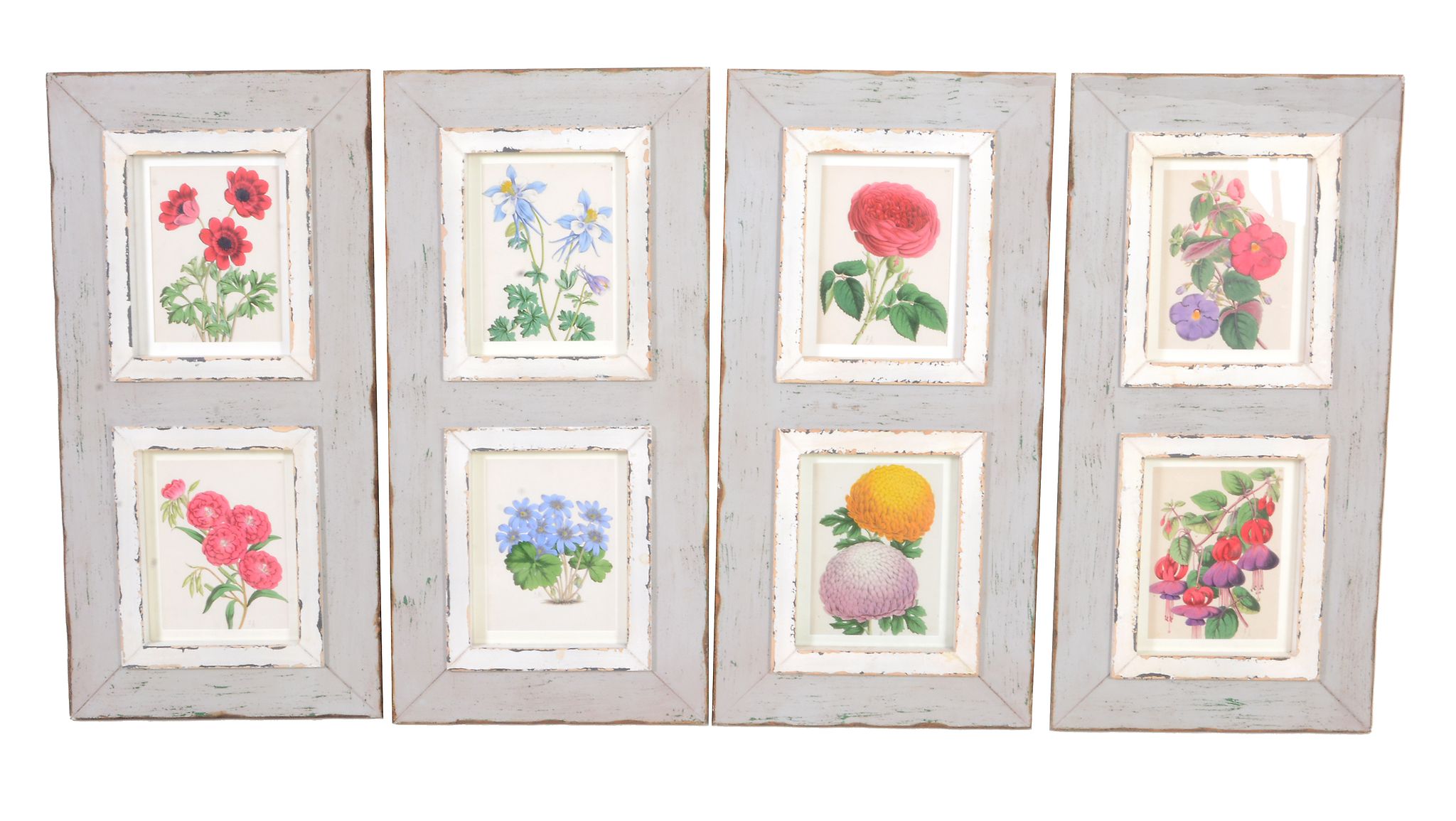 A set of sixteen coloured lithographs of flowers,   after J.Andrews, 19th century, later mounted in