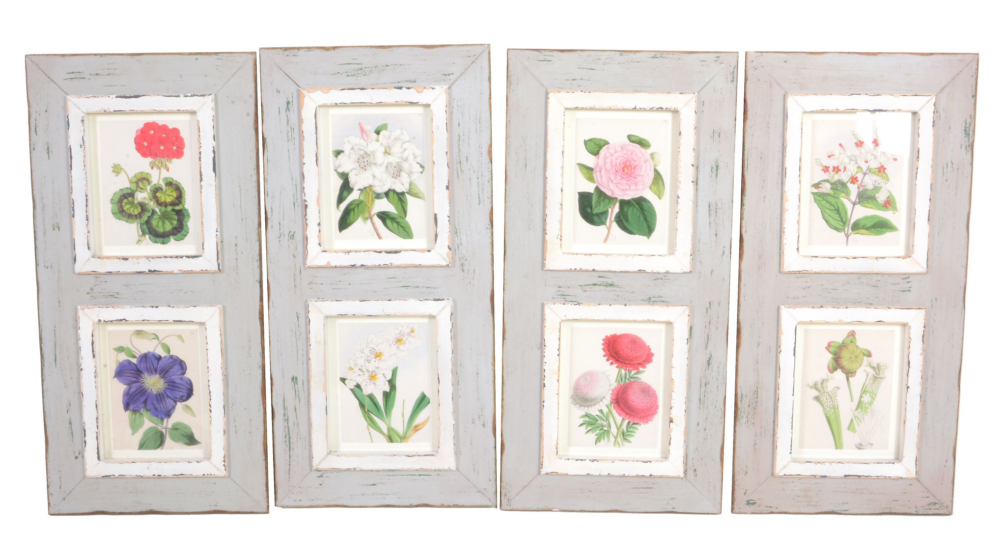 A set of sixteen coloured lithographs of flowers,   after J.Andrews, 19th century, later mounted in - Image 2 of 2