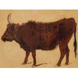 Richard Ansdell (1815-1885) - Study of a highland cow Oil, over graphite, on yellow coloured