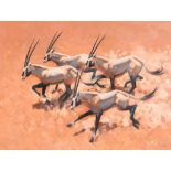 Keith Shackleton (1923-2015) - Herd of Arabian Oryx Oil on board Signed lower right 46 x 61 cm. (