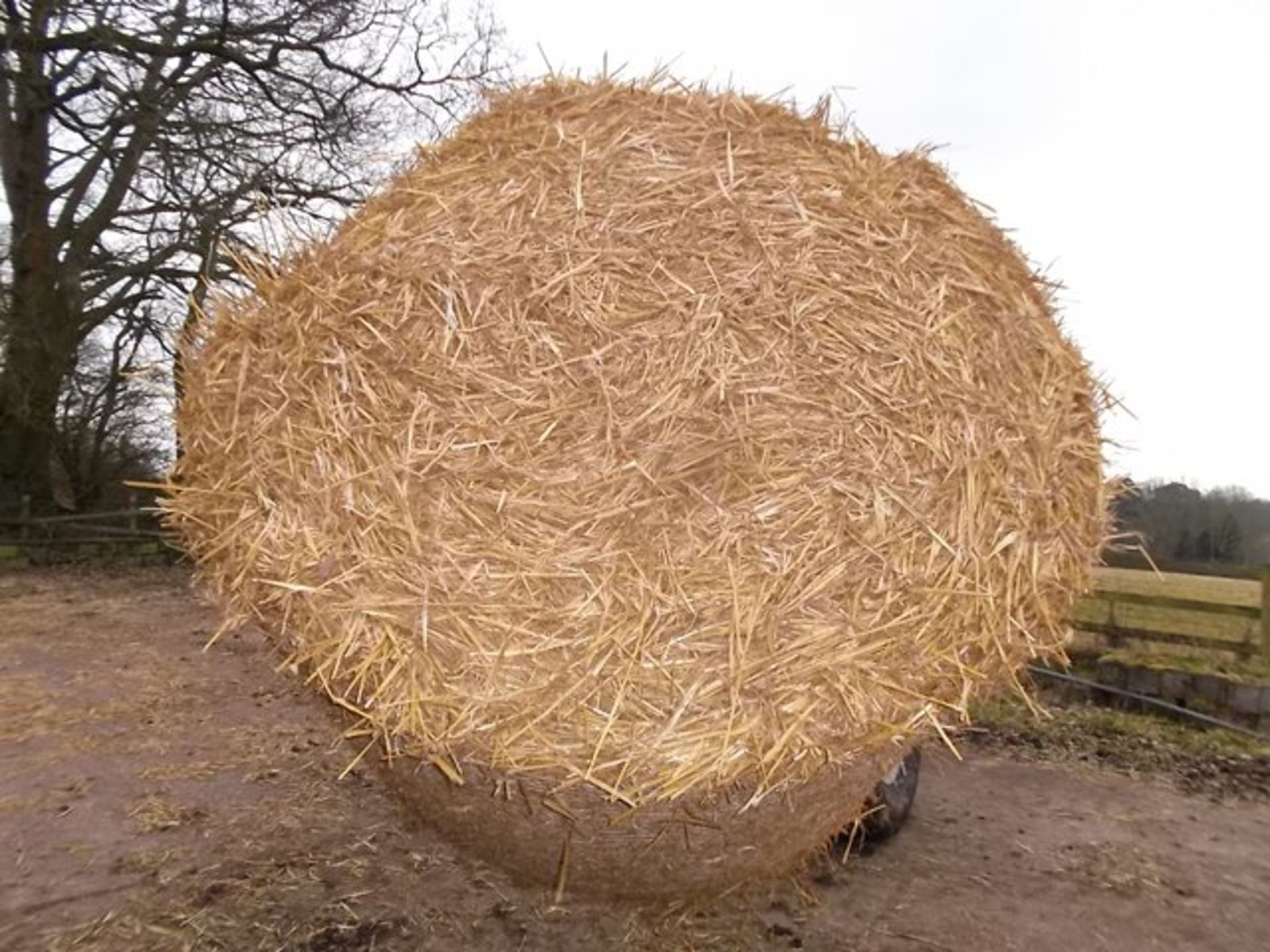 10 x 2014 harvest round bales of wheat straw. Location: Hampshire. Viewing & collection: by... - Image 2 of 3