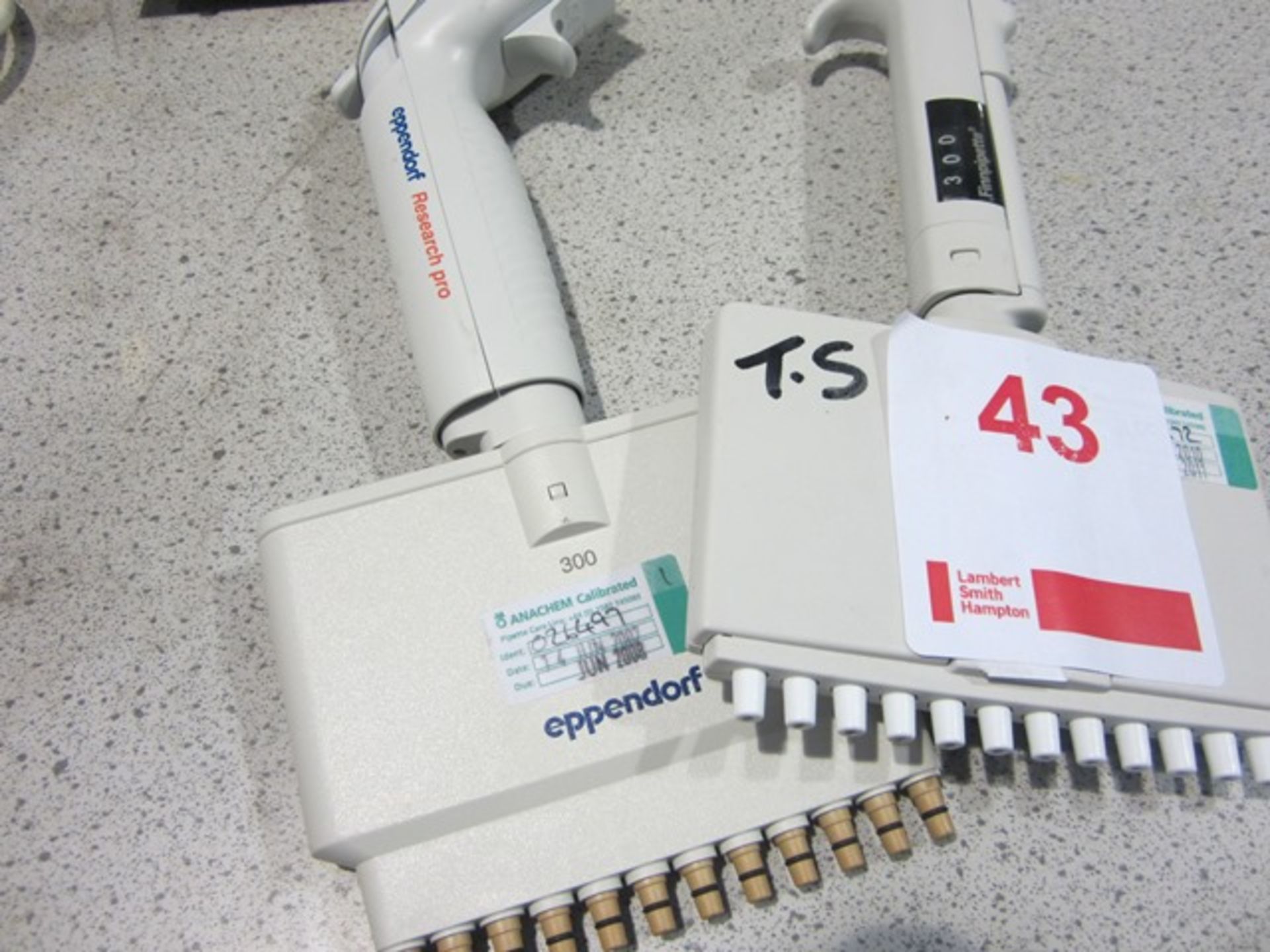 2 x Finnpipette ResearchPro pipettes mutli channel