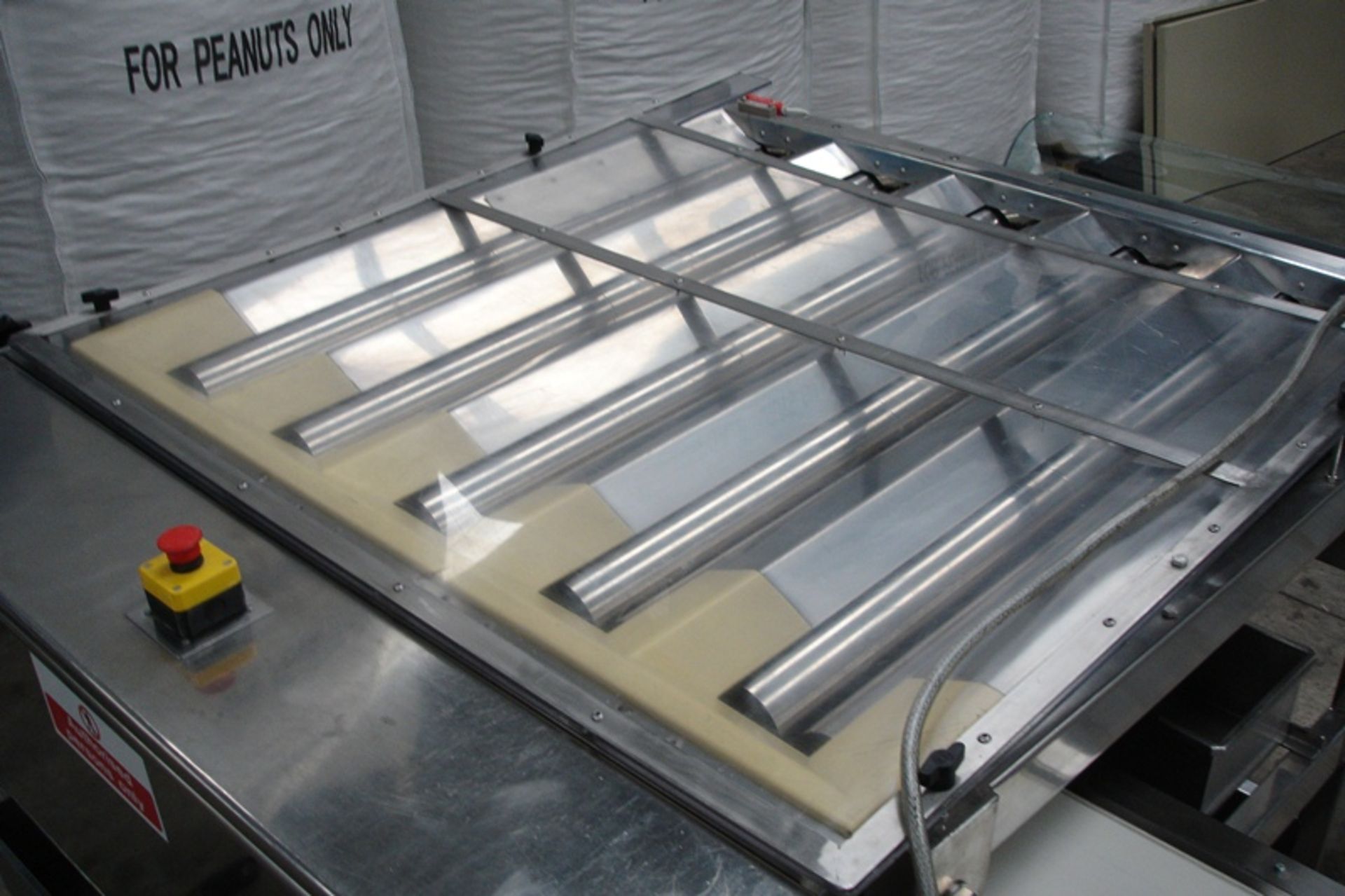 Fully S/S food grade 5 Lane Sizing / Grading Machine With Outfeed Conveyor - Image 2 of 7