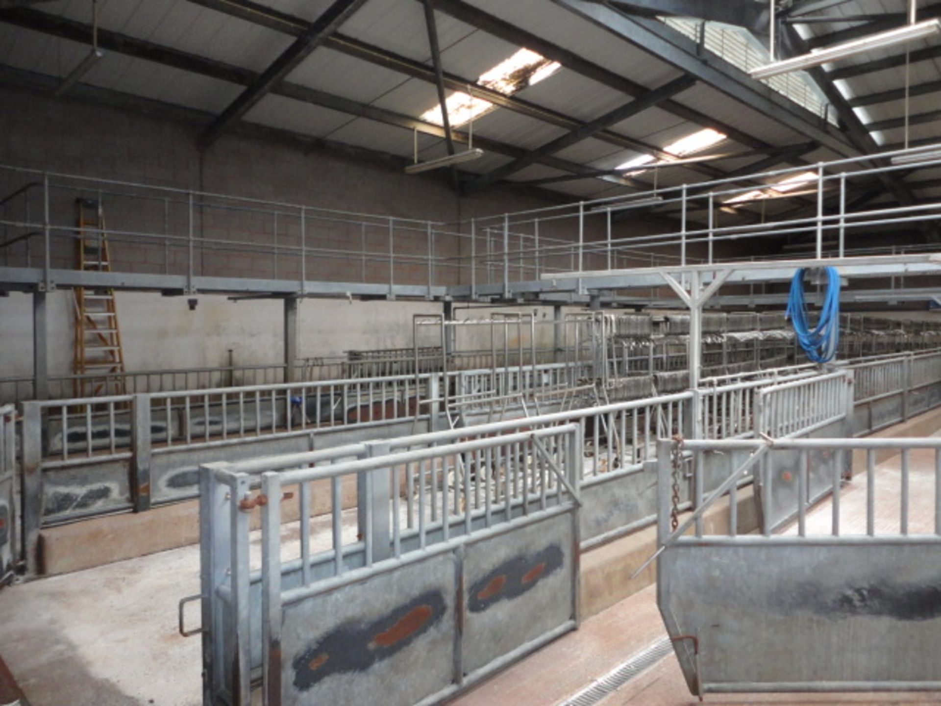 Lairage all steel work pens water sprays etc  The panels are 900mm x 2900mm 34 total, 6 900 x 650. - Image 2 of 7