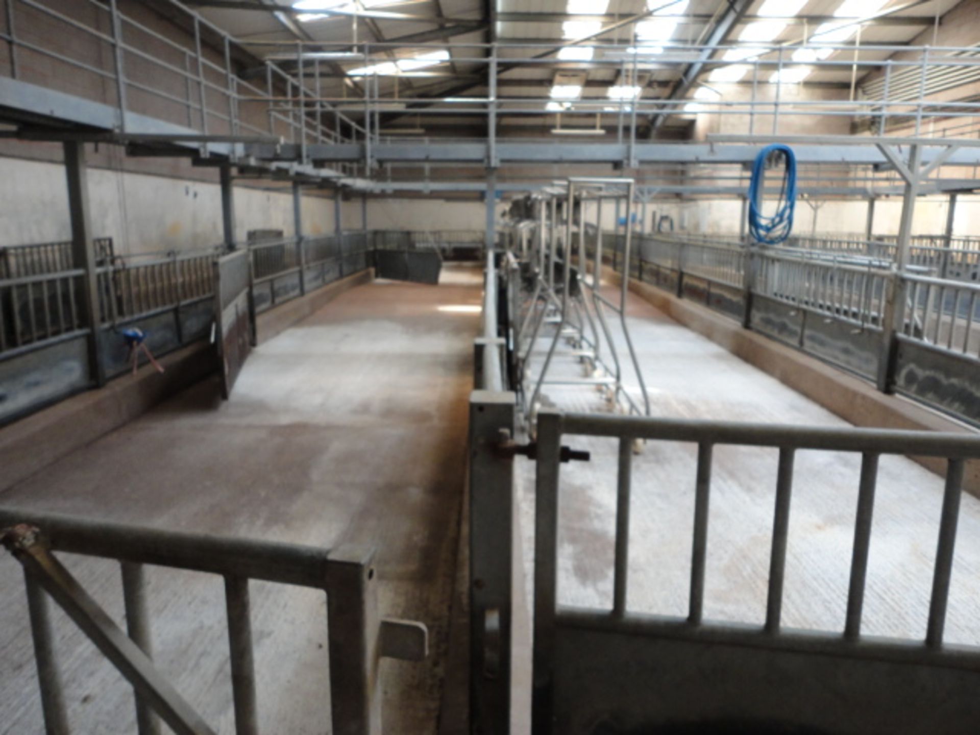 Lairage all steel work pens water sprays etc  The panels are 900mm x 2900mm 34 total, 6 900 x 650. - Image 5 of 7