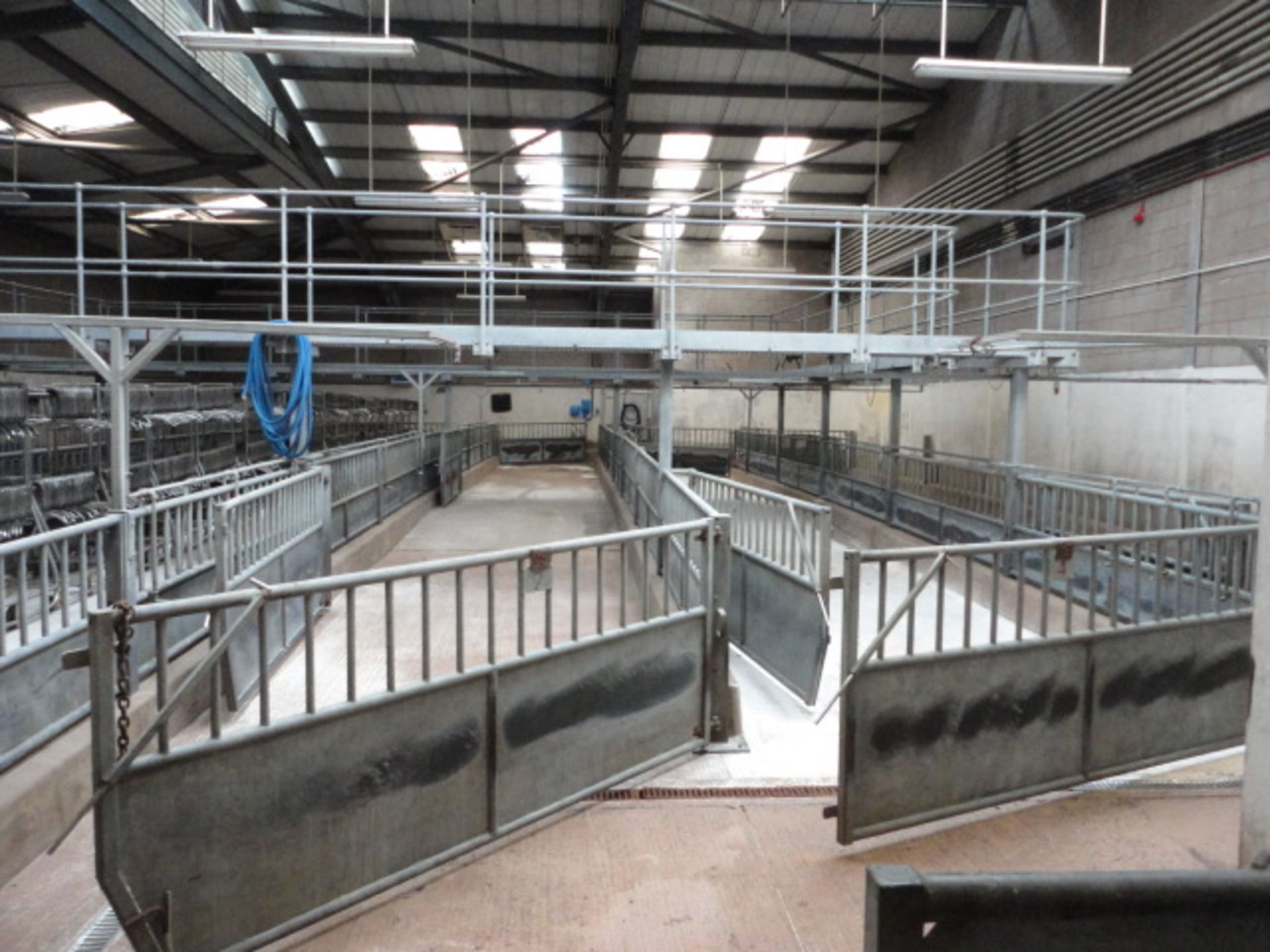 Lairage all steel work pens water sprays etc  The panels are 900mm x 2900mm 34 total, 6 900 x 650. - Image 3 of 7
