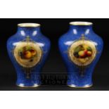 A pair of Royal Worcester squat baluster vases, signed C. Cresse, powder blue ground painted with