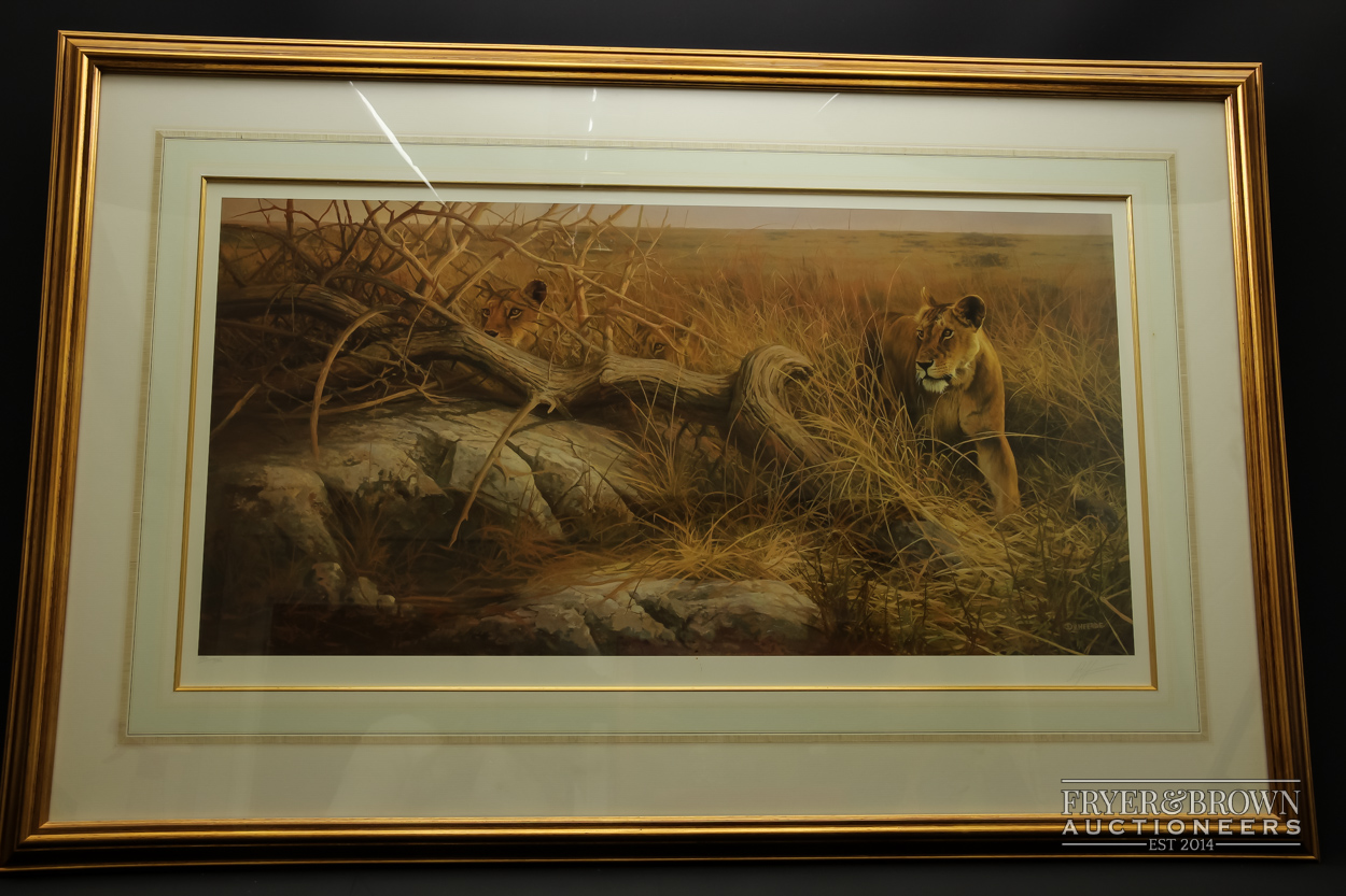 A pair of lion prints, one by Andrew Ellis, 'Evening Glance' signed and another by Dick Van