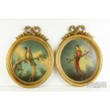 A pair of oil paintings of tropical birds, oval, ornate Regency style gilt frames (2)