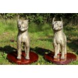 A pair of male and female Benin brass leopards, Nigerian, mounted on oval wood bases, 50cm