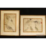 A pair of Japanese pen & ink ornithological drawings of birds, including examples of parrot and