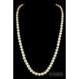 A graduated row of 73 cultured pearls, 6.5-8.7mm
