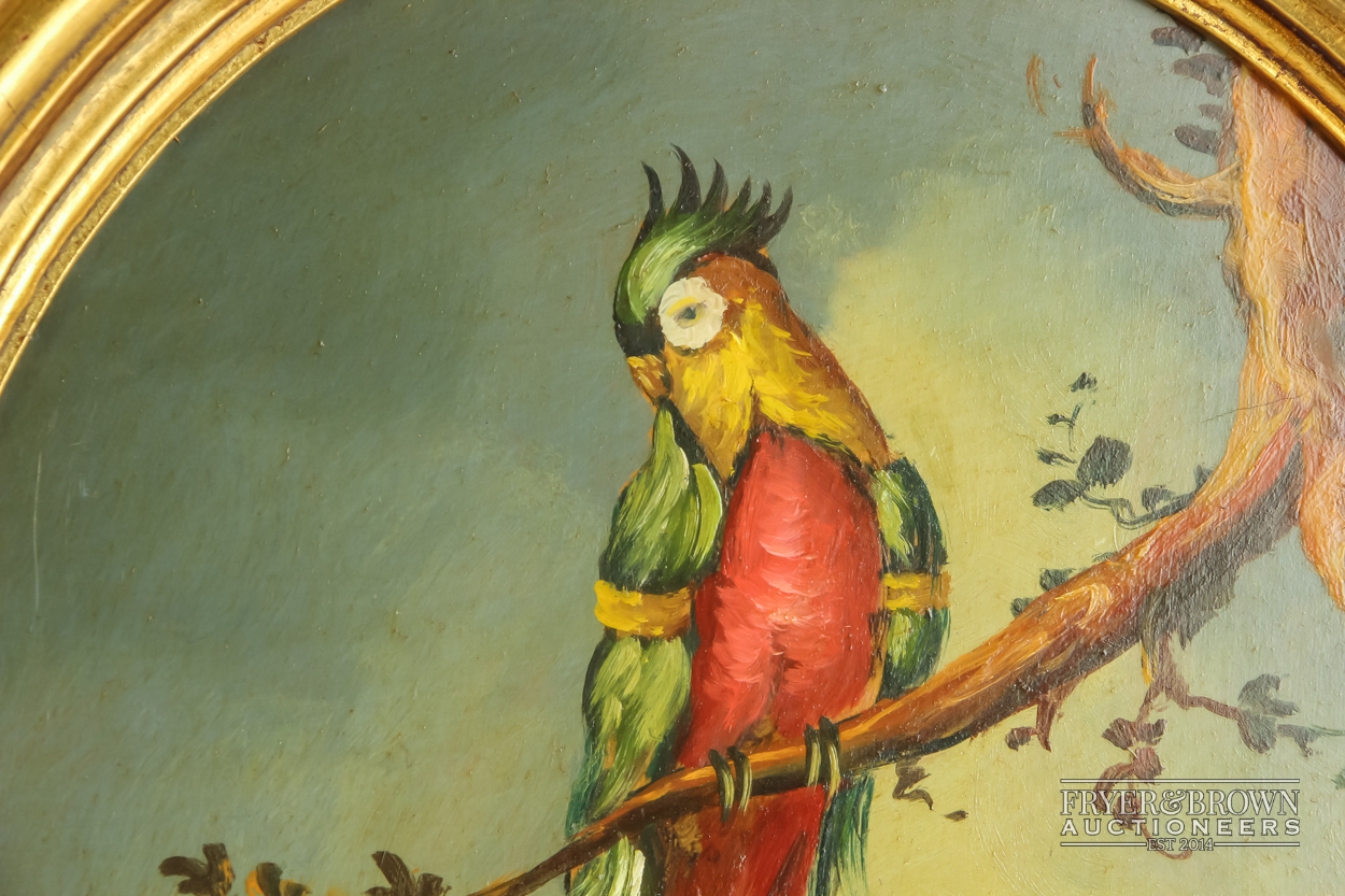 A pair of oil paintings of tropical birds, oval, ornate Regency style gilt frames (2) - Image 2 of 5