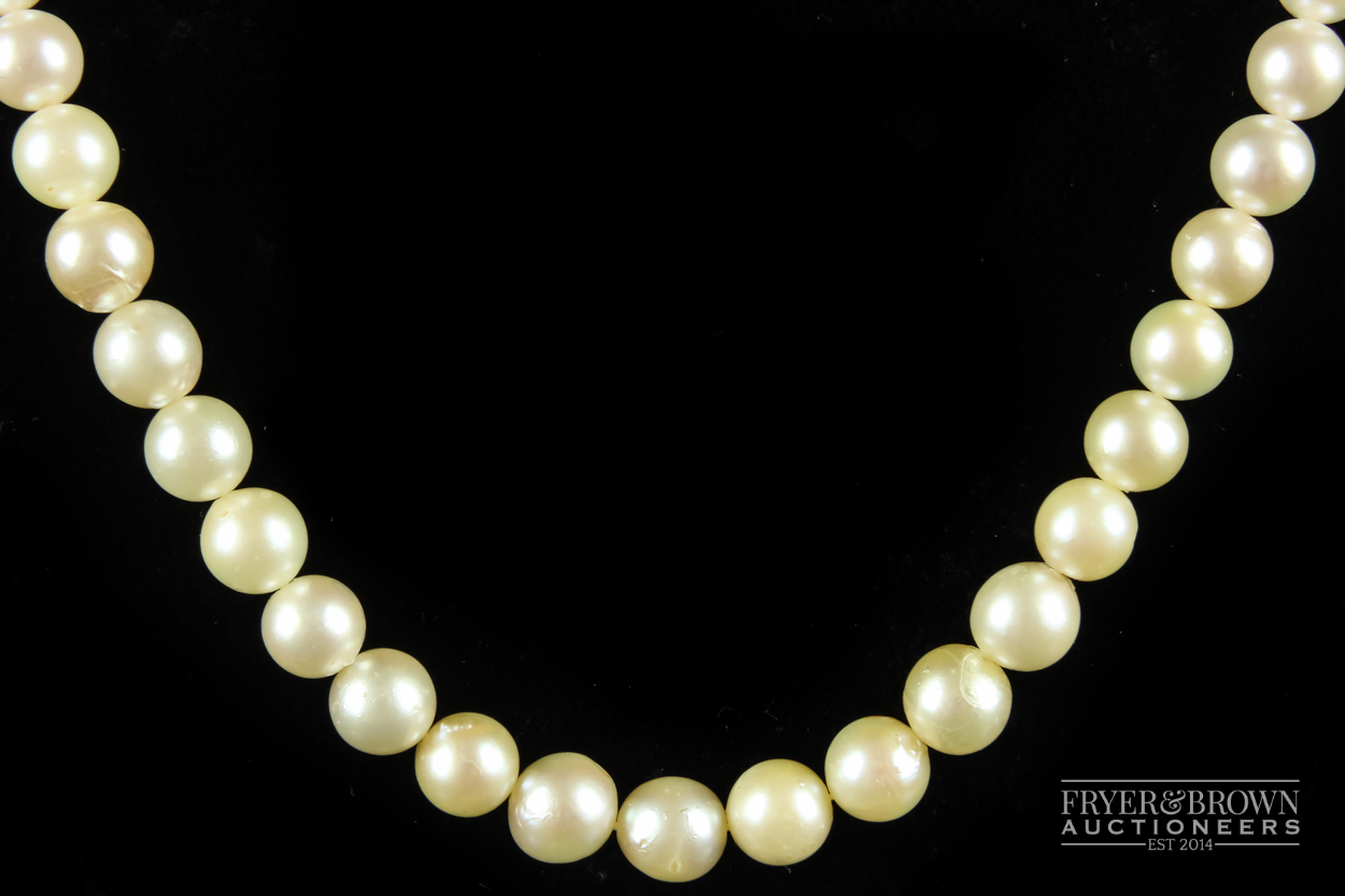 A graduated row of 73 cultured pearls, 6.5-8.7mm - Image 2 of 4