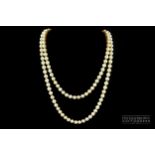 A fine quality vintage graduate two-row cultured pearl necklace, comprising 81:86 cultured pearls to