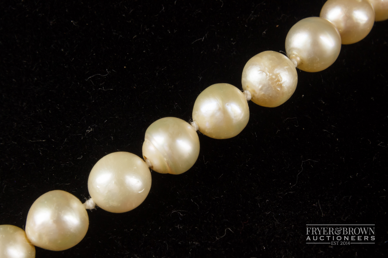 A necklace, uniform row of 45 7.5mm cultured pearls - Image 3 of 3