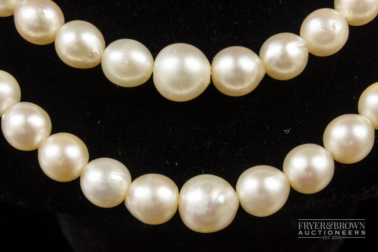 A two row cultured pearl necklace, with tourmaline and diamond clasp, comprising 62 and 66 graduated - Image 2 of 6