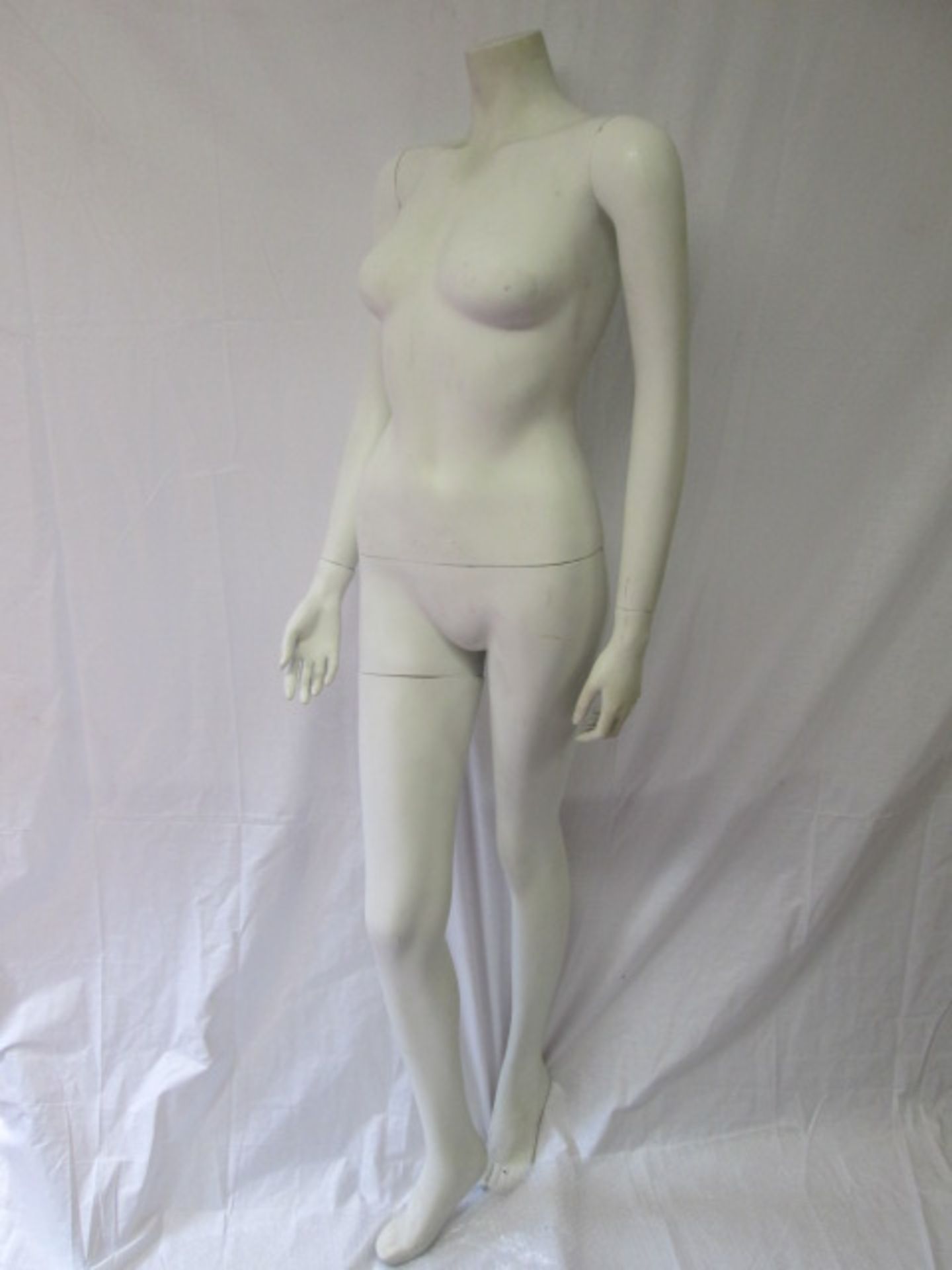 Female Shop Display Mannequin