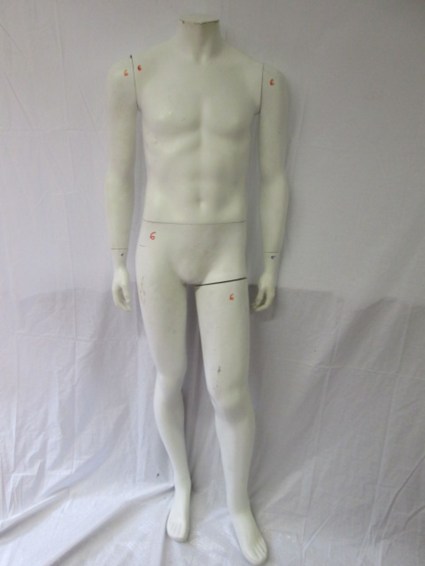 Male Shop Display Mannequin