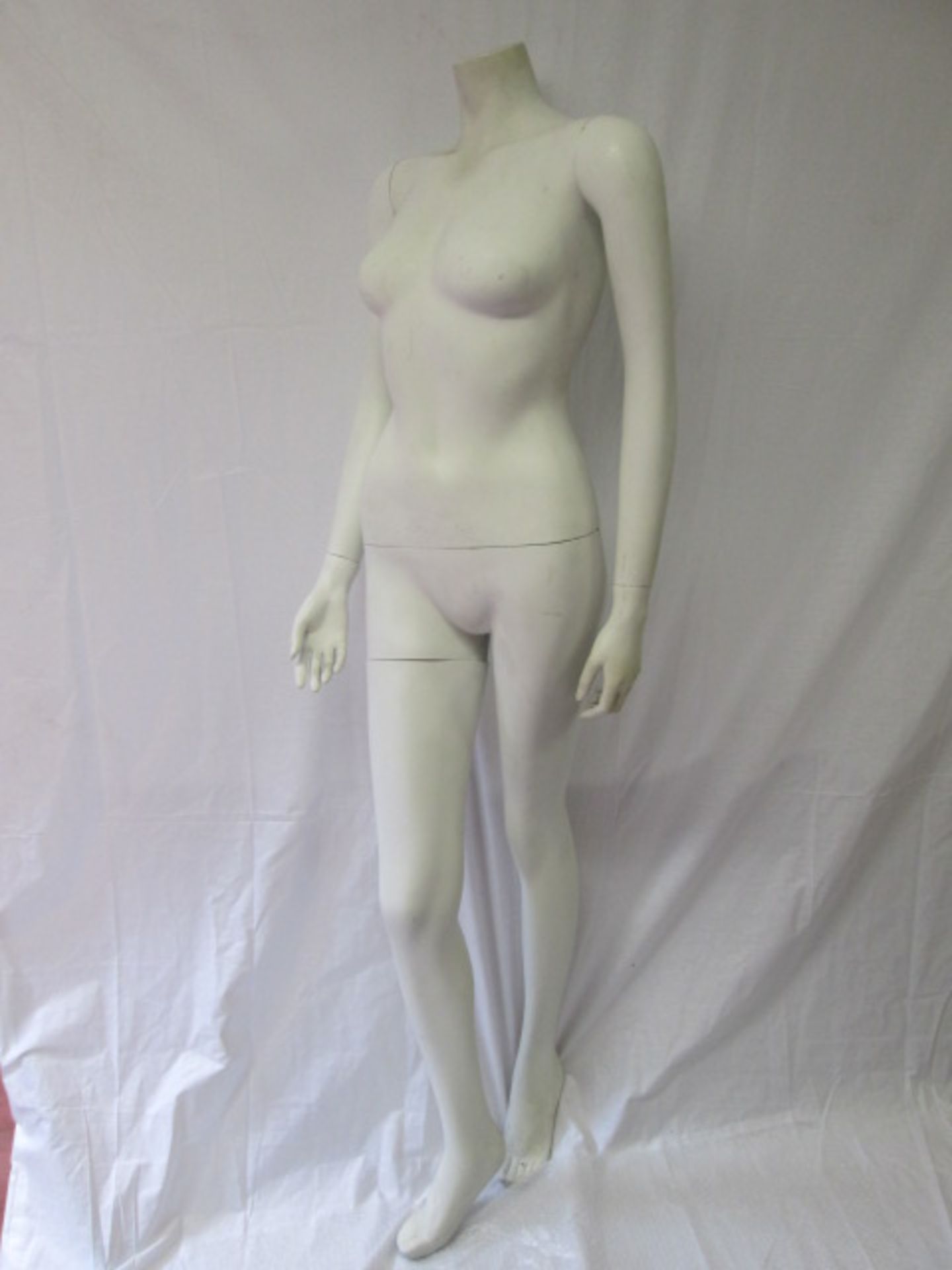 Female Shop Display Mannequin