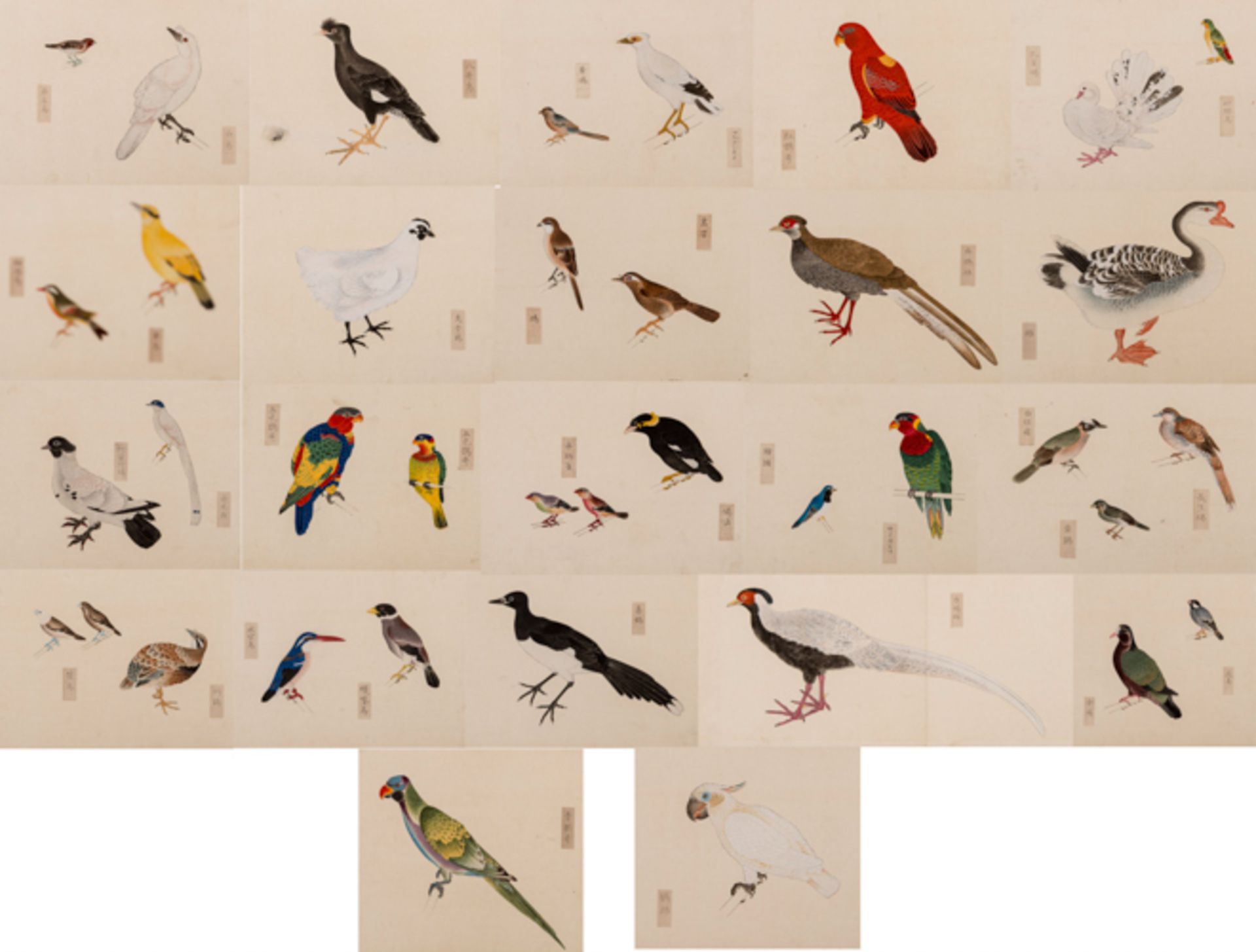 YANAGISAWA KIEN ???? (1704-1758)   Ryurikyo Choruifu - Ryurikyo’s Bird Species Album (??????). 22