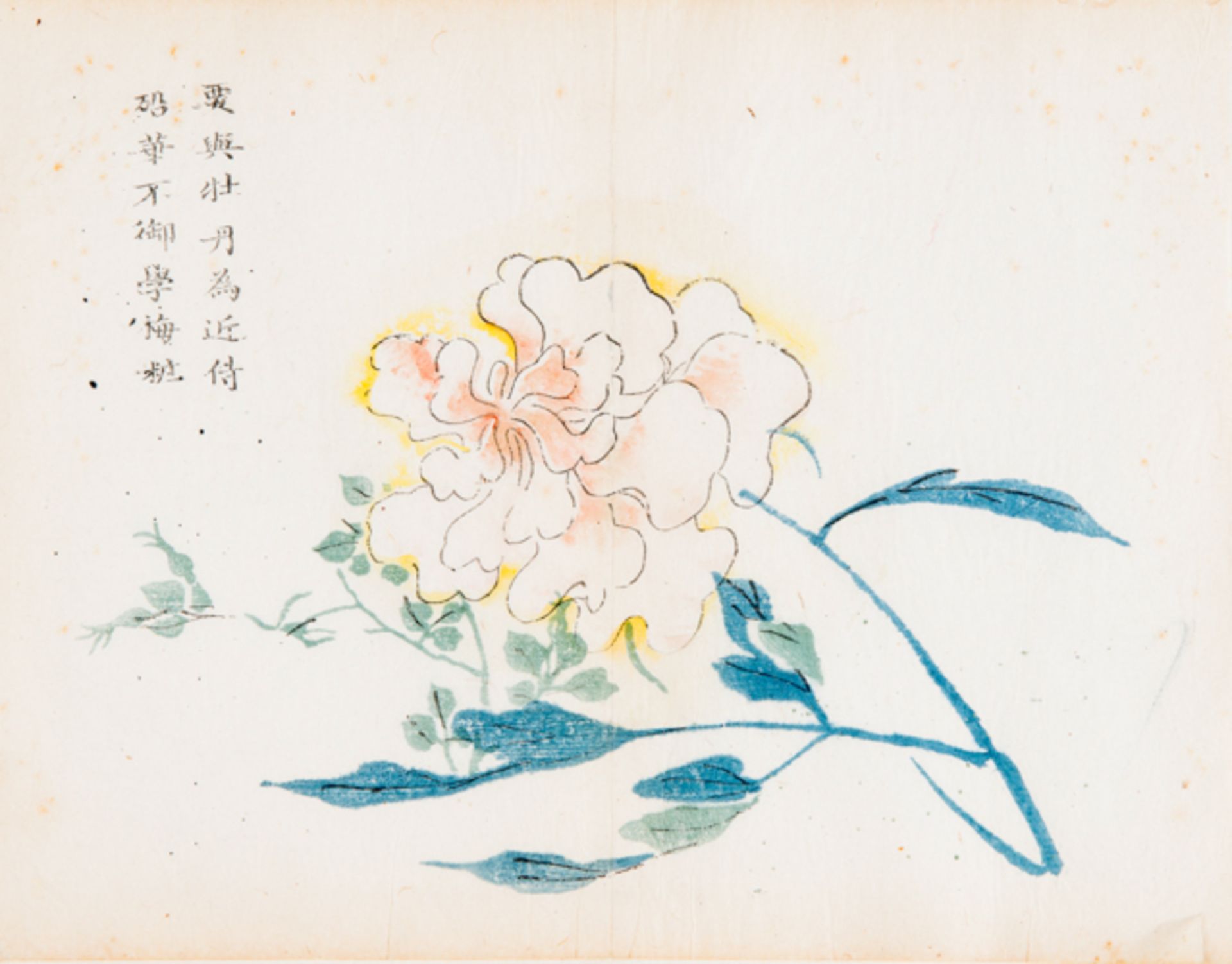 FLOWERING PEONY  Paper. China, 18th century  From the series “Mustard Garden” Aus der Folge „