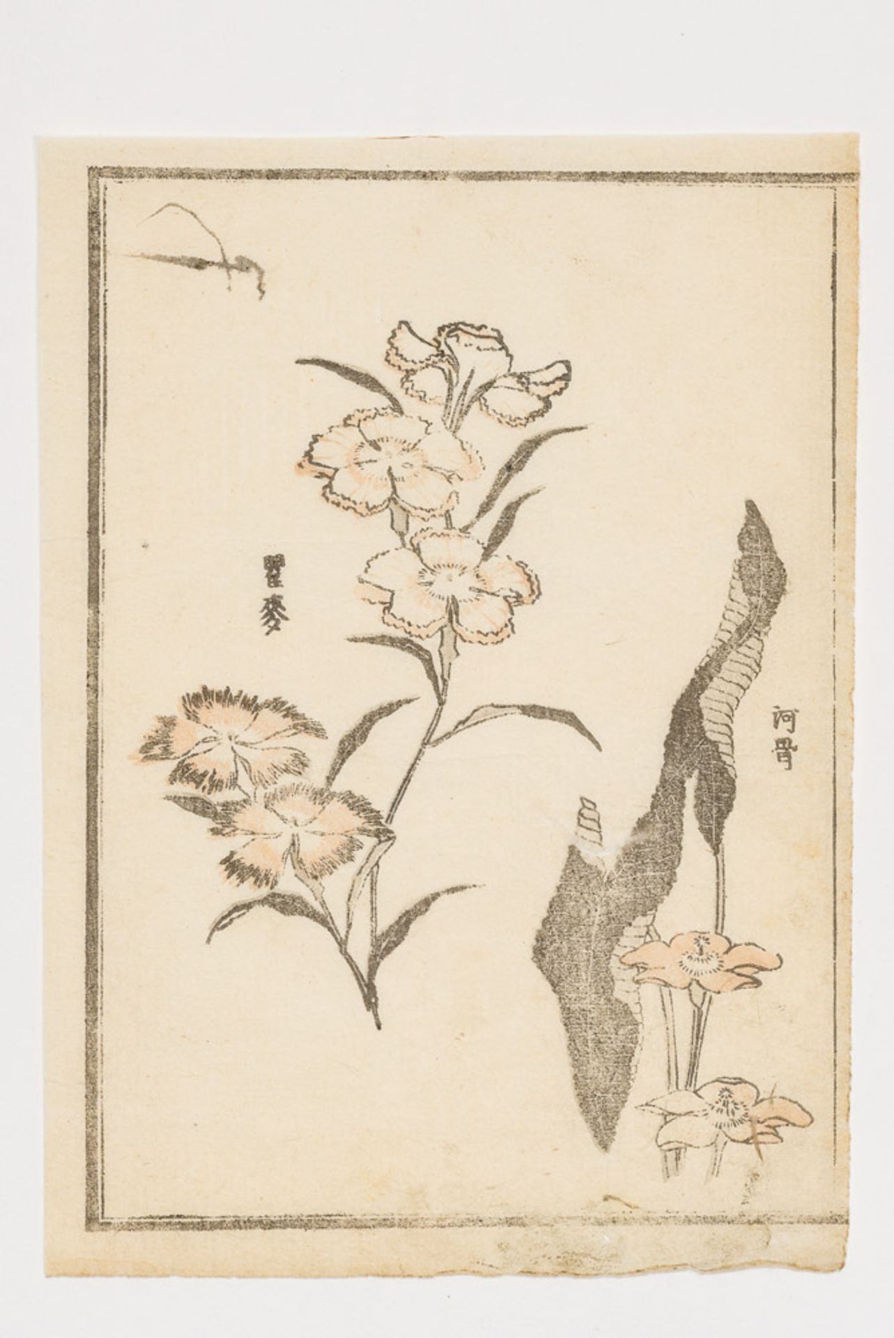 KATSUSHIKA HOKUSAI (1760 - 1849)
Original-Farbholzschnitt. Japan, Meiji (1860 – 1912)Blüten, - Image 4 of 11