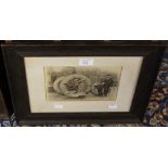 A framed photograph of an early amphibio