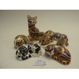 A collection of Royal Crown Derby cat pa