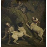 CARTER, SAMUEL JOHN (BRITISH) (1835-1892), sporting picture of three terriers in pursuit of two