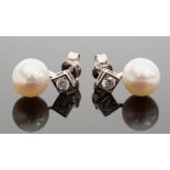 A pair of 18ct white gold, pearl and diamond earrings, total diaond weight approx 0.30ct, the button