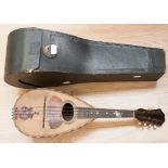 An Italian cased mandolin,Luigi Garradotti,  beautifully crafted,